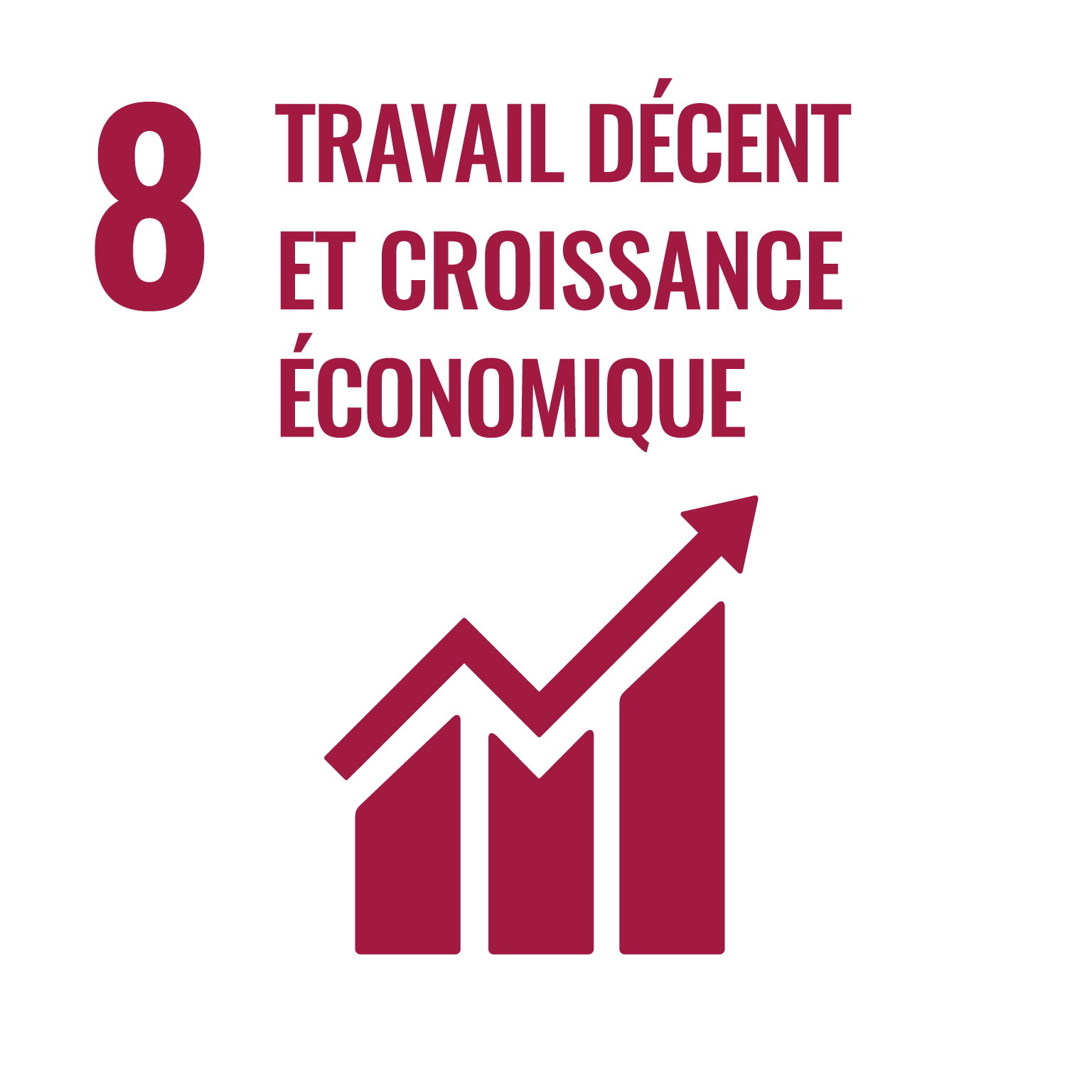 OBJECTIF 8 : TRAVAIL DÉCENT ET CROISSANCE ÉCONOMIQUE