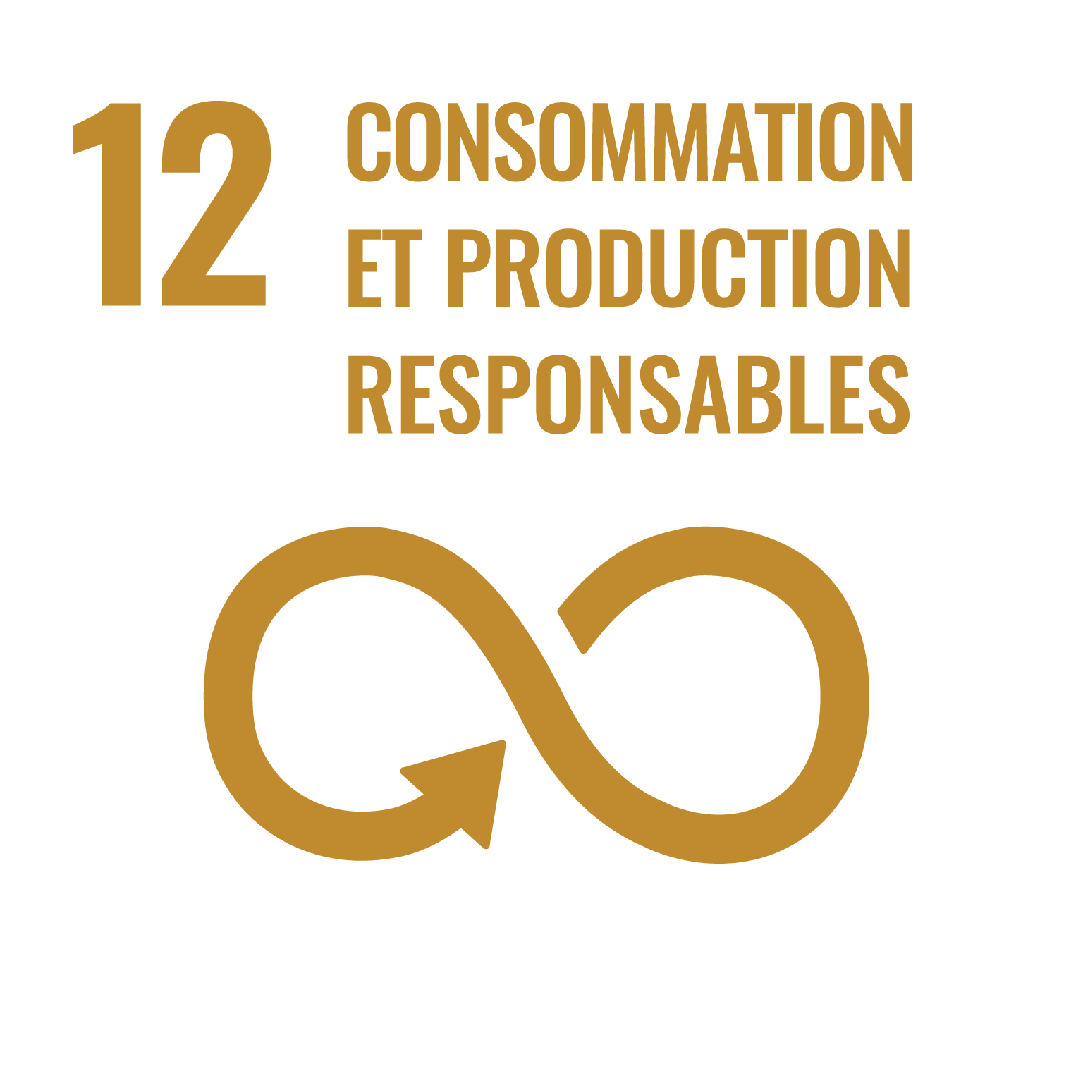 OBJECTIF 12 : CONSOMMATION ET PRODUCTION DURABLES