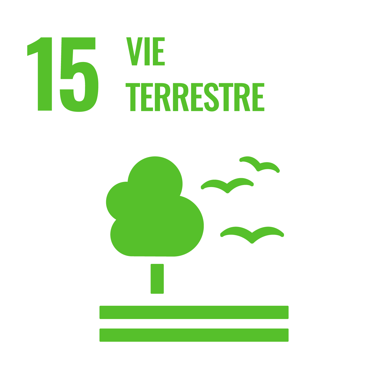 OBJECTIF 15 : VIE TERRESTRE